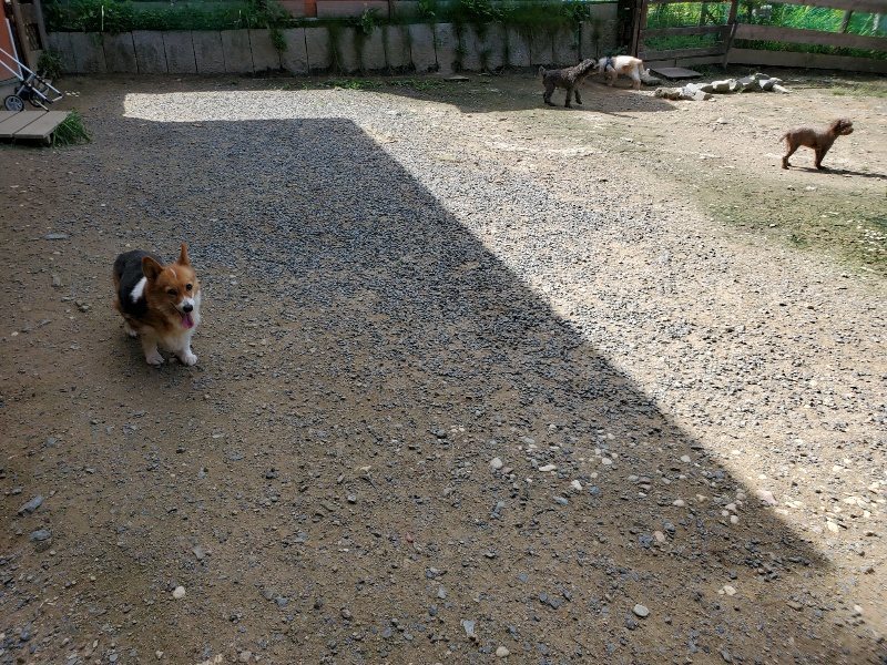 f:id:roukenhome-ann:20190908203338j:plain