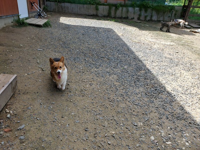f:id:roukenhome-ann:20190908203346j:plain