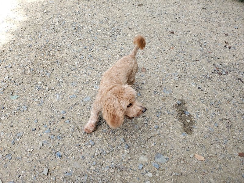 f:id:roukenhome-ann:20190908203402j:plain