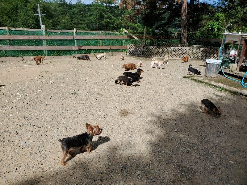 f:id:roukenhome-ann:20190908203413j:plain