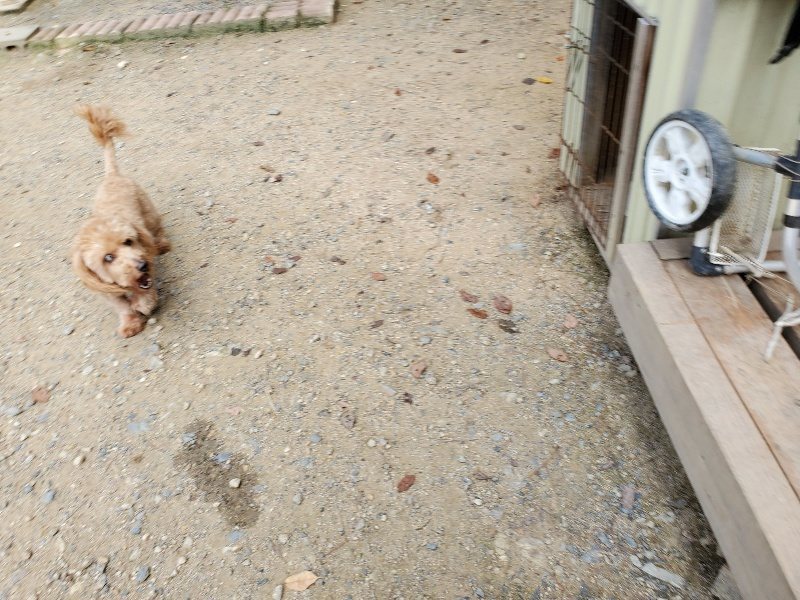 f:id:roukenhome-ann:20190908203423j:plain