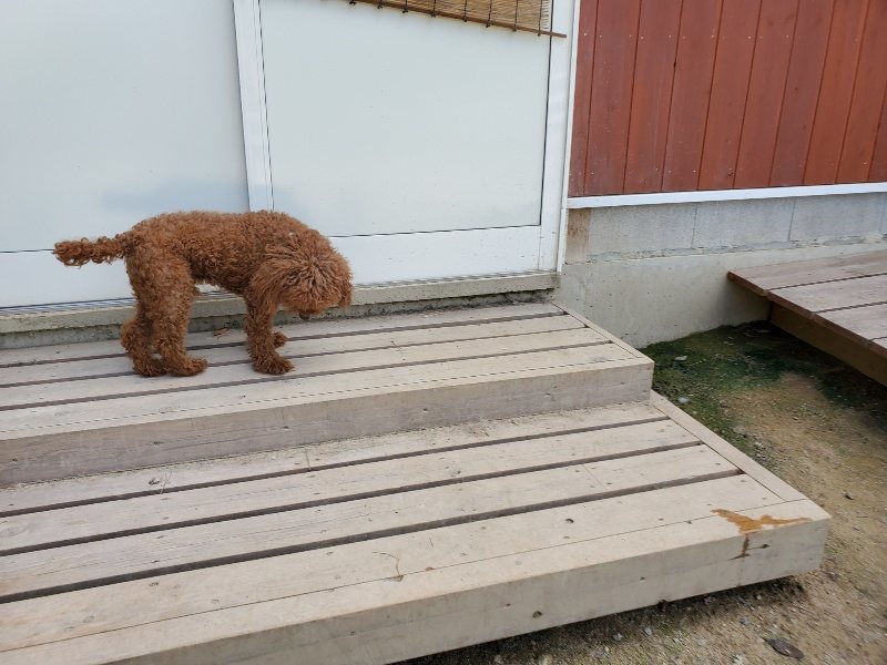 f:id:roukenhome-ann:20190908203449j:plain