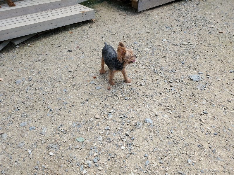 f:id:roukenhome-ann:20190908203505j:plain