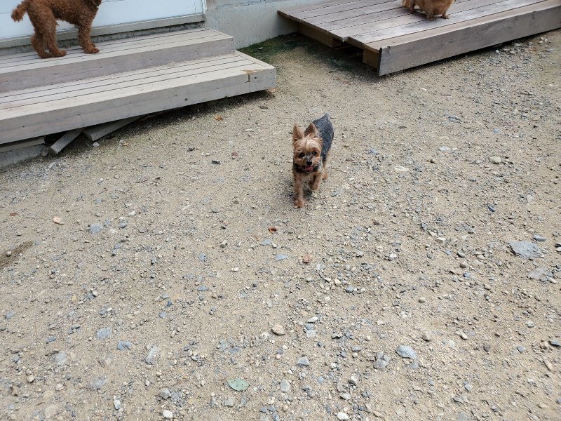 f:id:roukenhome-ann:20190908203514j:plain
