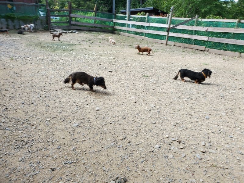 f:id:roukenhome-ann:20190908203524j:plain