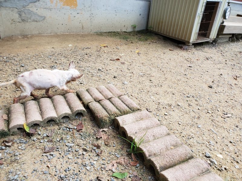 f:id:roukenhome-ann:20190908203544j:plain