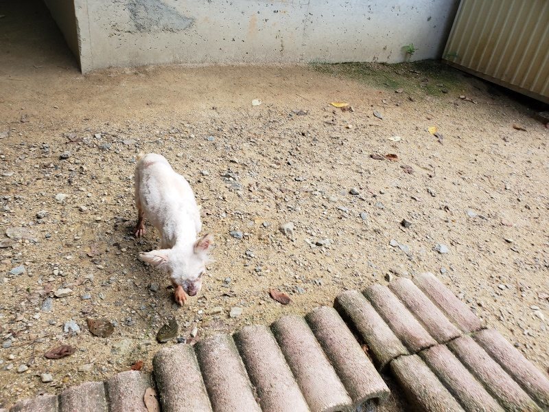 f:id:roukenhome-ann:20190908203556j:plain