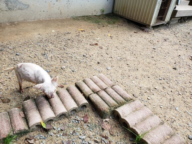 f:id:roukenhome-ann:20190908203604j:plain