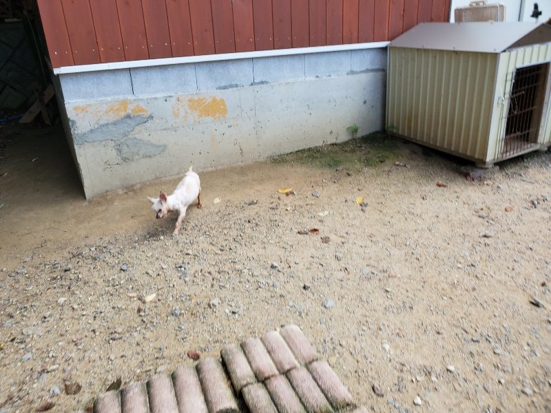 f:id:roukenhome-ann:20190908203610j:plain