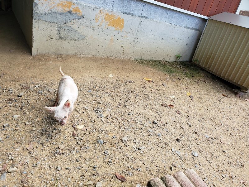 f:id:roukenhome-ann:20190908203618j:plain