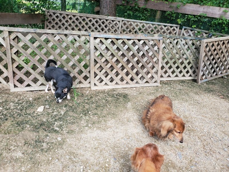 f:id:roukenhome-ann:20190908205313j:plain