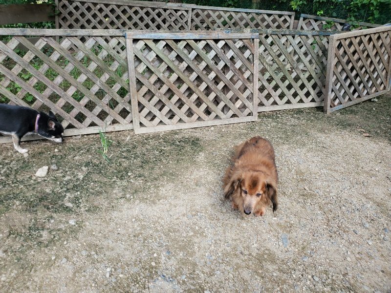 f:id:roukenhome-ann:20190908205320j:plain