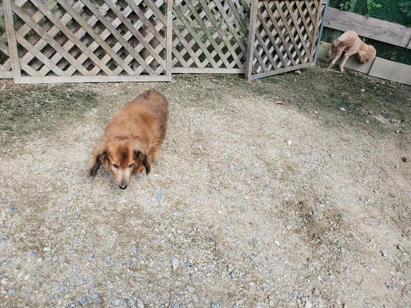f:id:roukenhome-ann:20190908205329j:plain