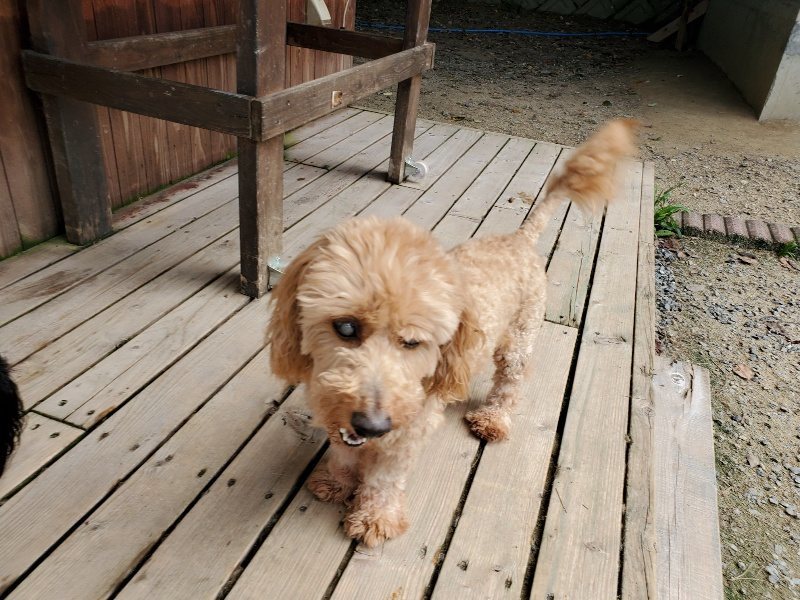 f:id:roukenhome-ann:20190908205337j:plain