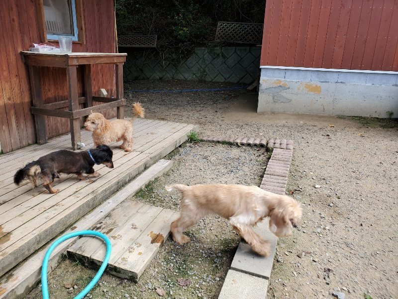 f:id:roukenhome-ann:20190908205414j:plain