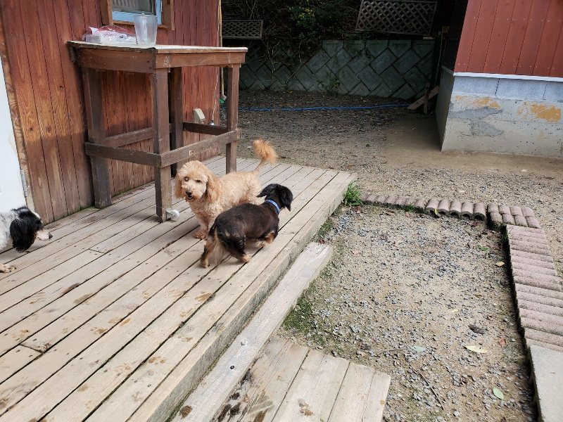 f:id:roukenhome-ann:20190908205424j:plain