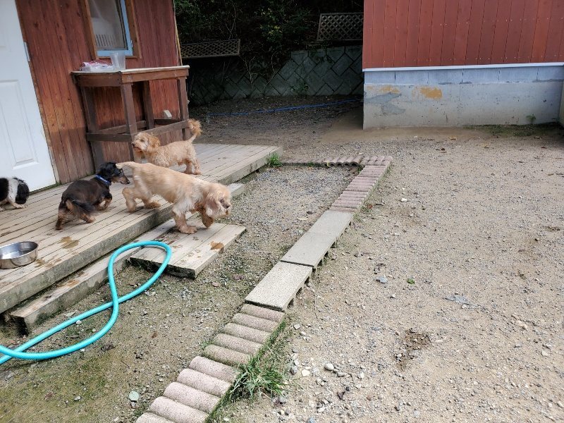 f:id:roukenhome-ann:20190908205432j:plain