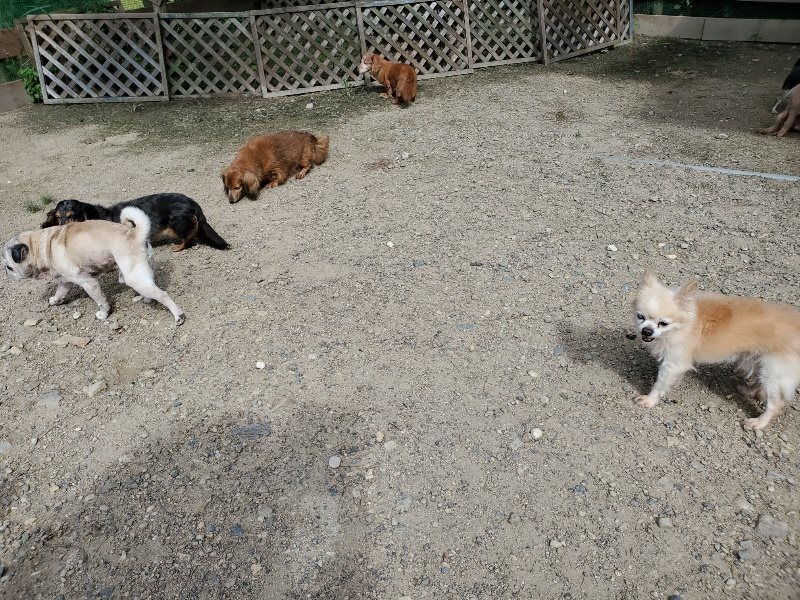 f:id:roukenhome-ann:20190908205443j:plain