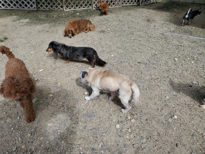 f:id:roukenhome-ann:20190908205513j:plain
