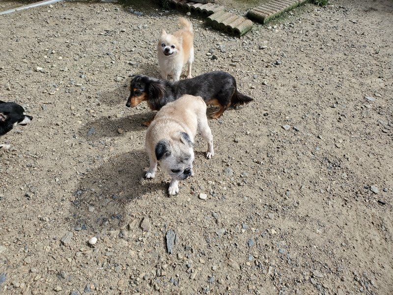 f:id:roukenhome-ann:20190908205527j:plain