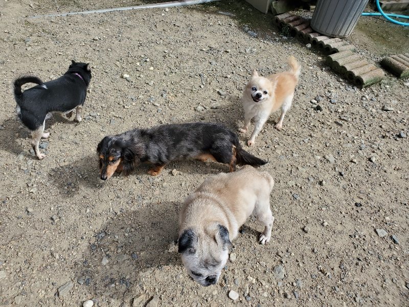 f:id:roukenhome-ann:20190908205537j:plain