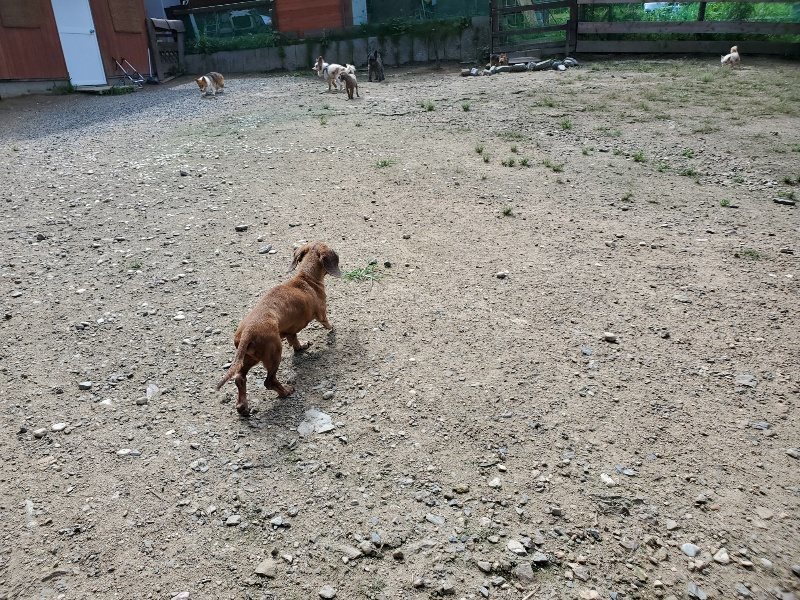 f:id:roukenhome-ann:20190908205558j:plain