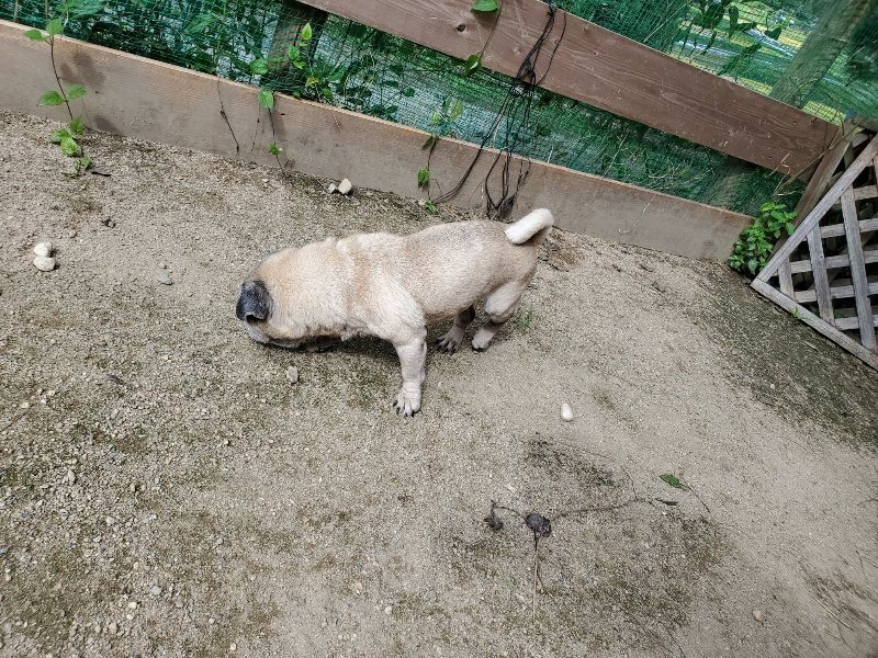 f:id:roukenhome-ann:20190908205607j:plain