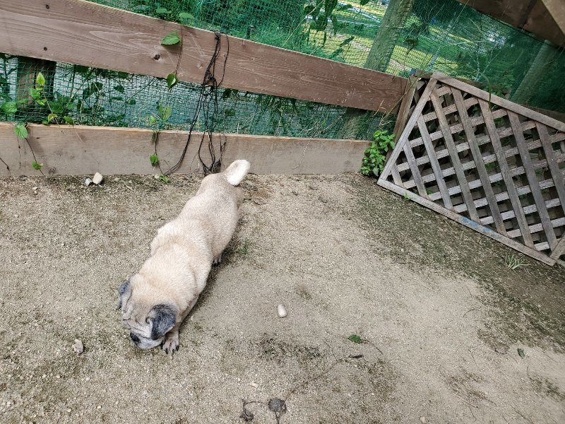 f:id:roukenhome-ann:20190908205618j:plain