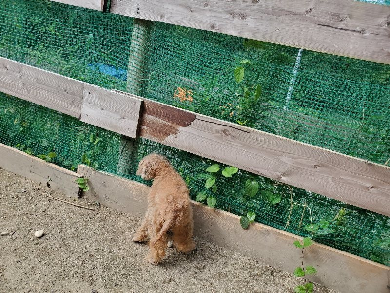 f:id:roukenhome-ann:20190908205628j:plain