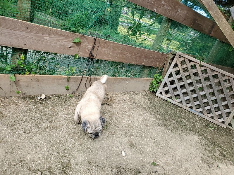 f:id:roukenhome-ann:20190908205643j:plain