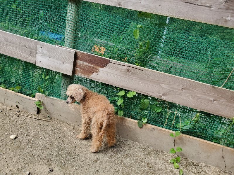 f:id:roukenhome-ann:20190908205655j:plain