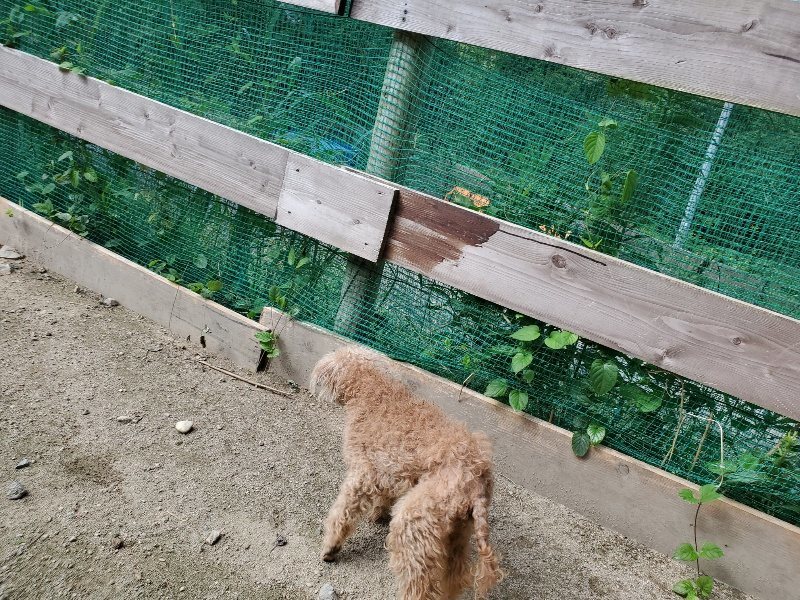 f:id:roukenhome-ann:20190908205712j:plain