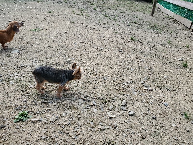 f:id:roukenhome-ann:20190908205723j:plain