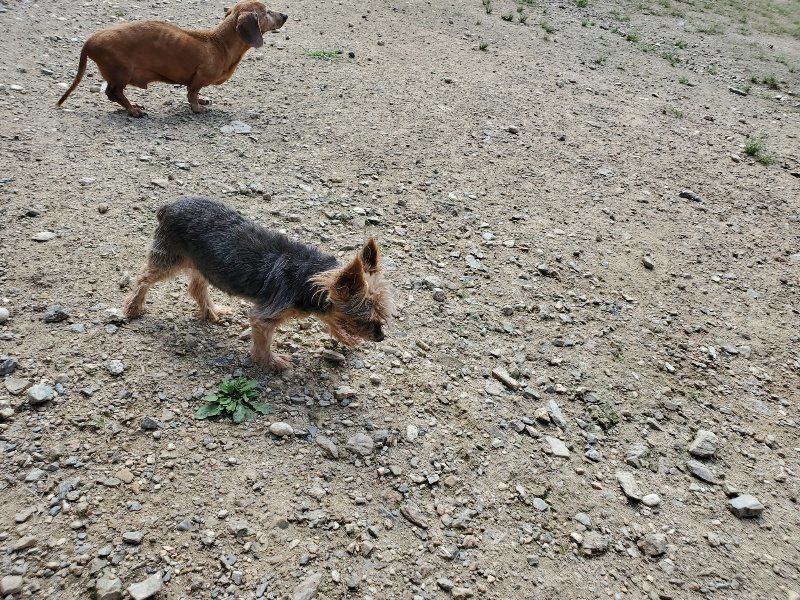 f:id:roukenhome-ann:20190908205731j:plain
