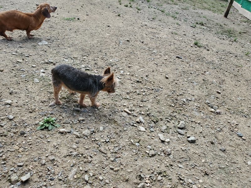f:id:roukenhome-ann:20190908205749j:plain