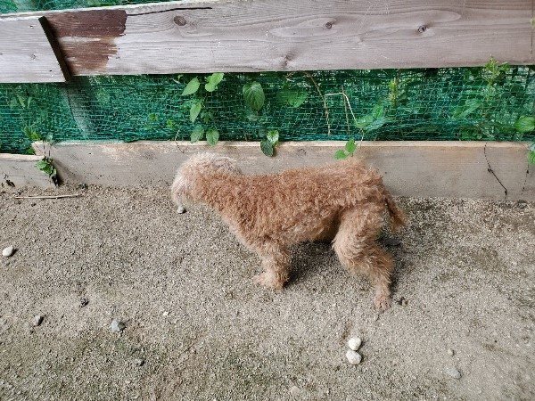 f:id:roukenhome-ann:20190908205759j:plain