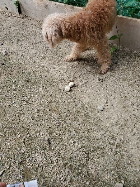 f:id:roukenhome-ann:20190908205810j:plain