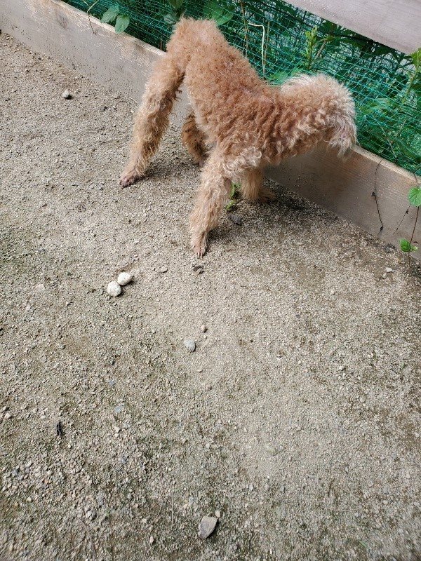 f:id:roukenhome-ann:20190908205816j:plain