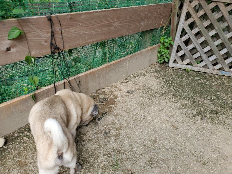 f:id:roukenhome-ann:20190908205823j:plain