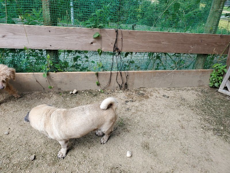 f:id:roukenhome-ann:20190908205831j:plain