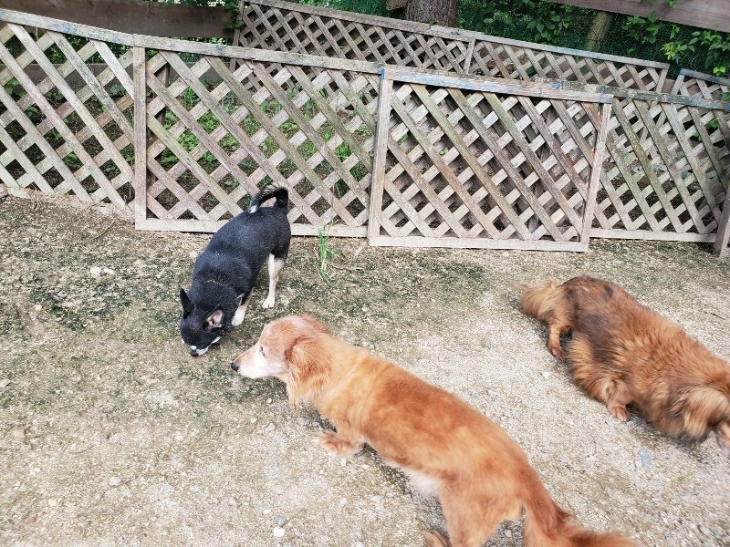 f:id:roukenhome-ann:20190908205839j:plain