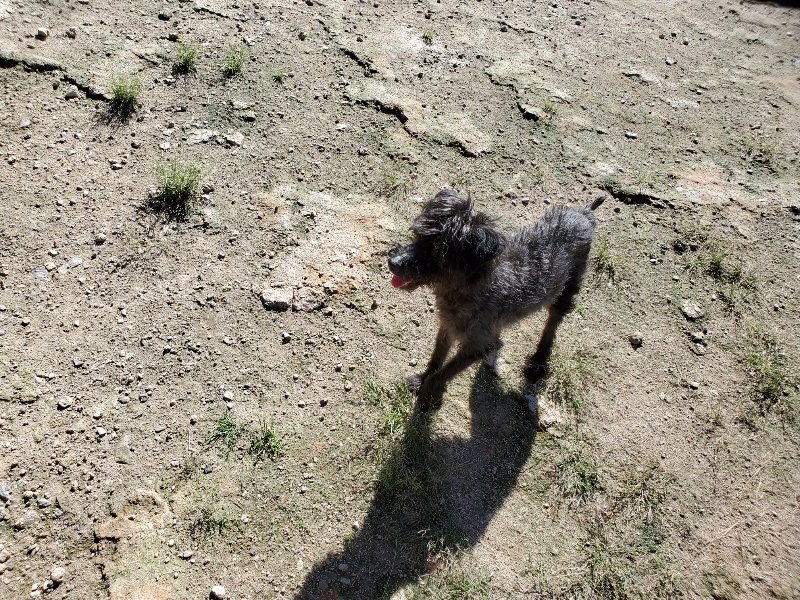 f:id:roukenhome-ann:20190908210042j:plain