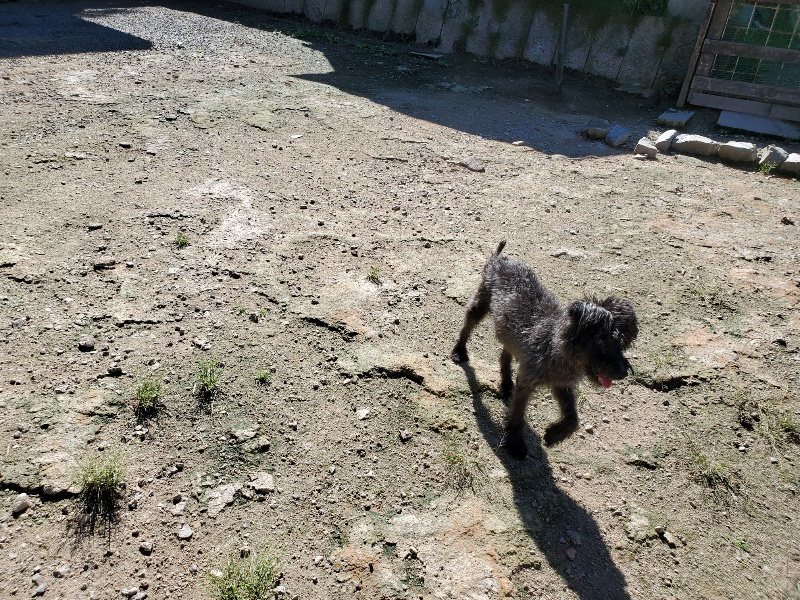 f:id:roukenhome-ann:20190908210051j:plain
