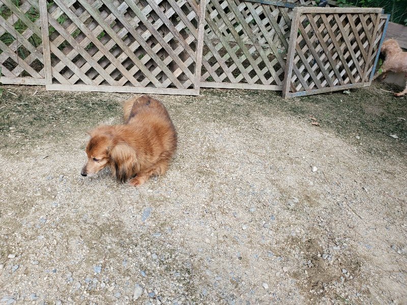 f:id:roukenhome-ann:20190908210100j:plain