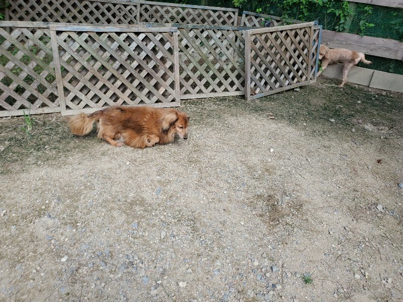 f:id:roukenhome-ann:20190908210107j:plain