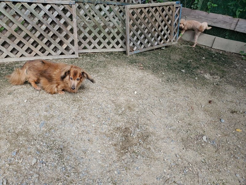 f:id:roukenhome-ann:20190908210122j:plain