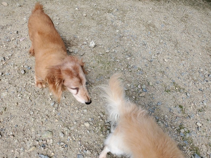 f:id:roukenhome-ann:20190908210130j:plain
