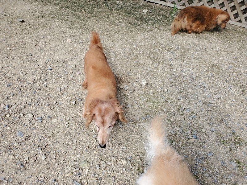 f:id:roukenhome-ann:20190908210141j:plain