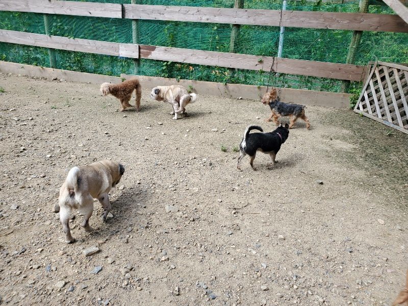 f:id:roukenhome-ann:20190908210151j:plain