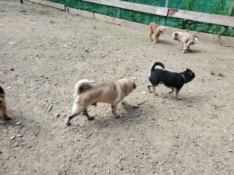 f:id:roukenhome-ann:20190908210208j:plain